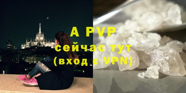 тгк Володарск