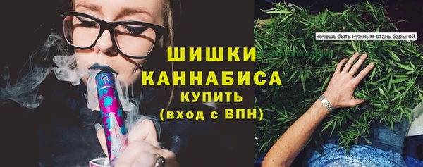 тгк Володарск