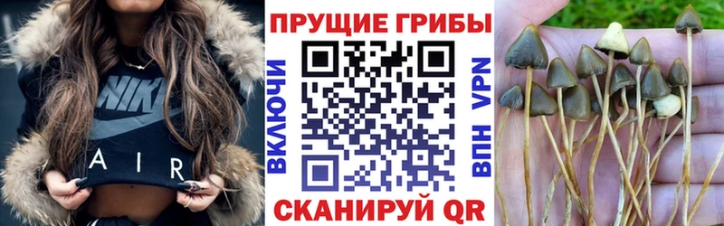 Псилоцибиновые грибы мицелий  цена   мега зеркало  Первомайск 